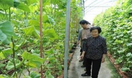 瓜瓜基地 独家爆料网站 吃瓜网官网,吃瓜网官网揭秘幕后真相