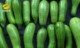 吃瓜网官网免费观看 今日吃瓜,免费畅享全网最新吃瓜资讯