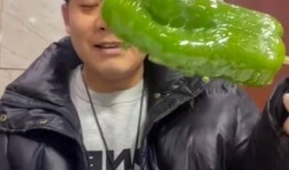 初代网红雪梨被曝大瓜 朝阳吃瓜群众一枚的微博 51今日吃瓜热门大瓜视频,吃瓜群众热议51热门视频